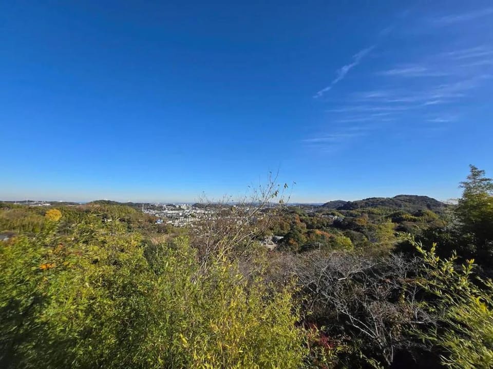 Natural landscape