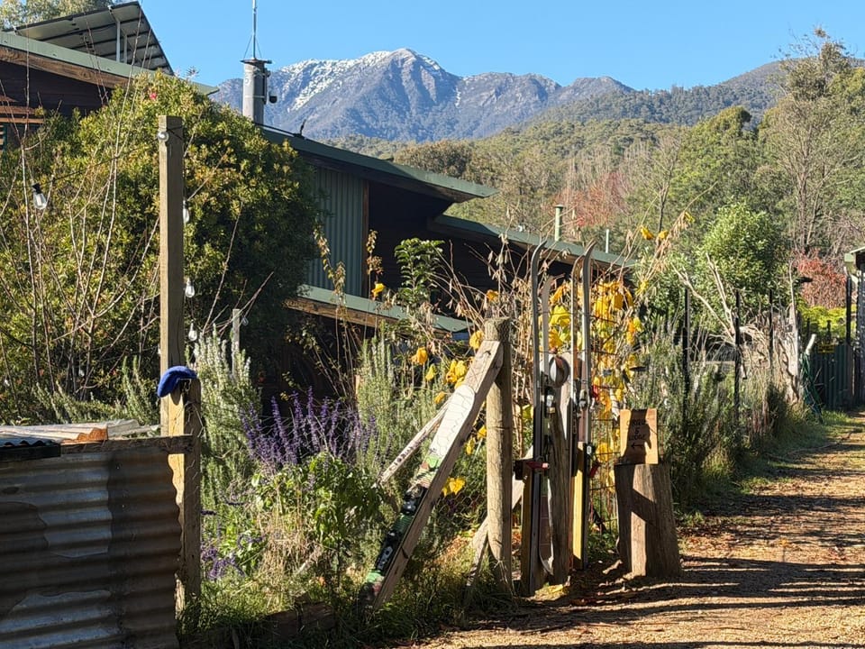 Day, Natural landscape, Garden, Garden view, Mountain view