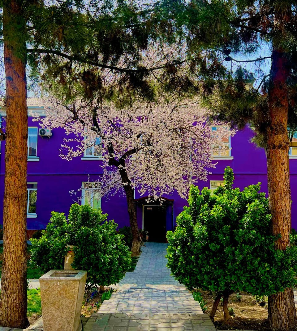 Property building, Garden