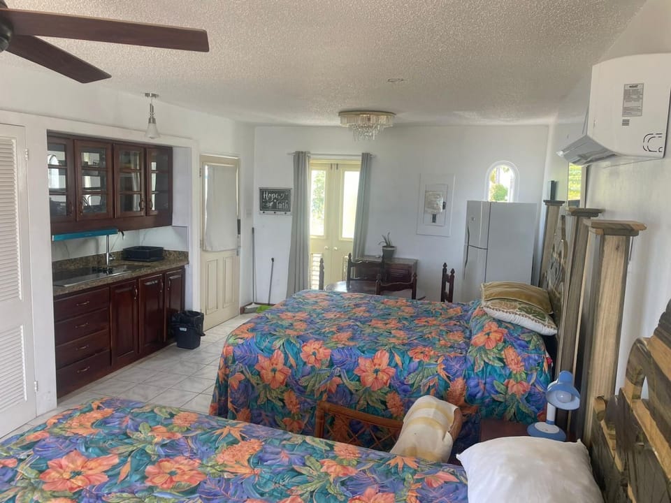 Bed, Kitchen or kitchenette, Photo of the whole room, Bedroom, stove