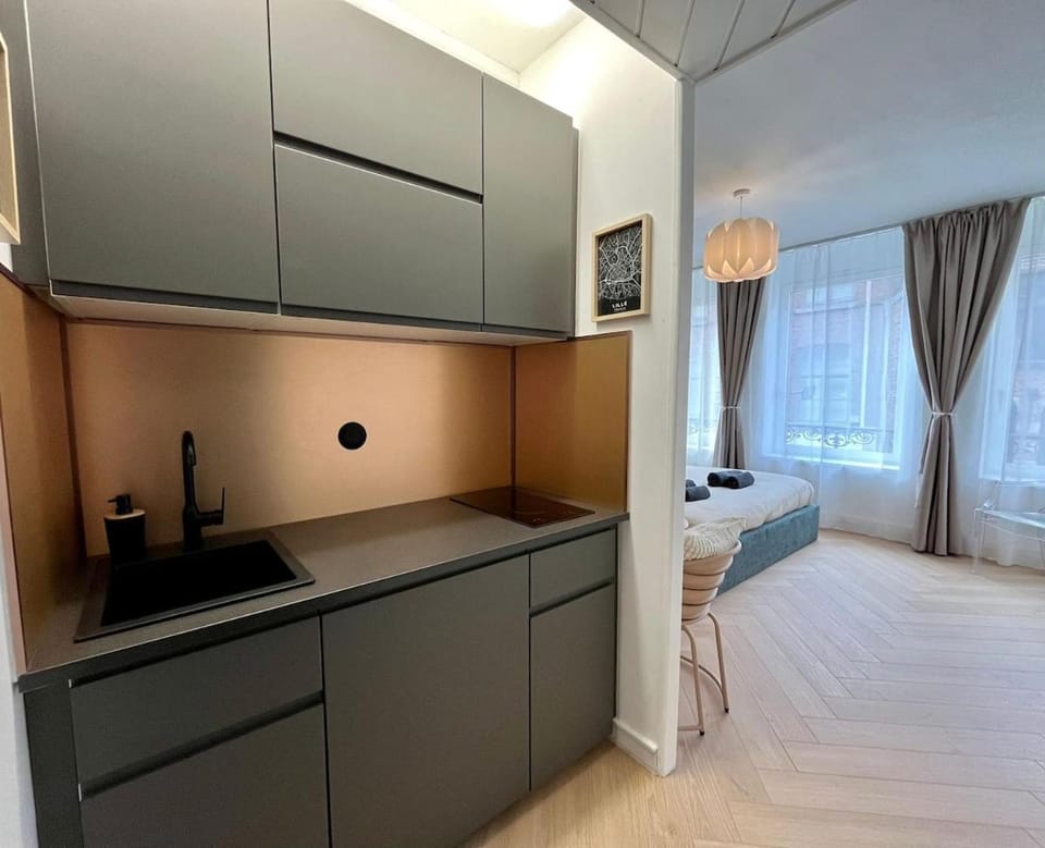 Premium Studio 300 m Grand-Place - hyper center Lille Apartment in Lille