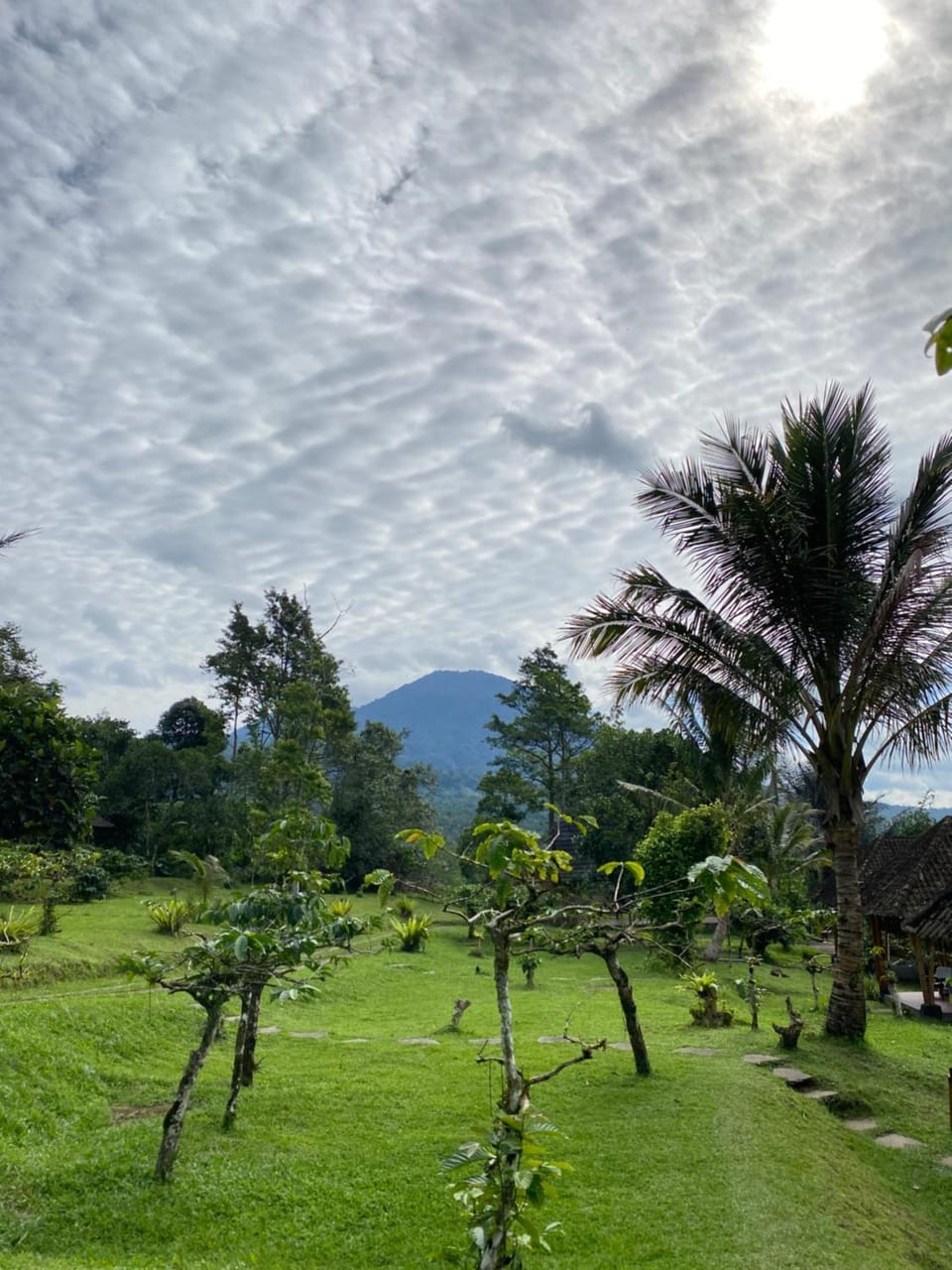 Natural landscape, Garden, Garden view