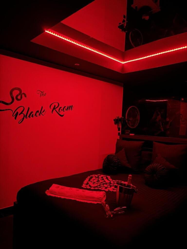 Romantique room,salon massage,mirroir,croix,parking Apartment in Grenoble