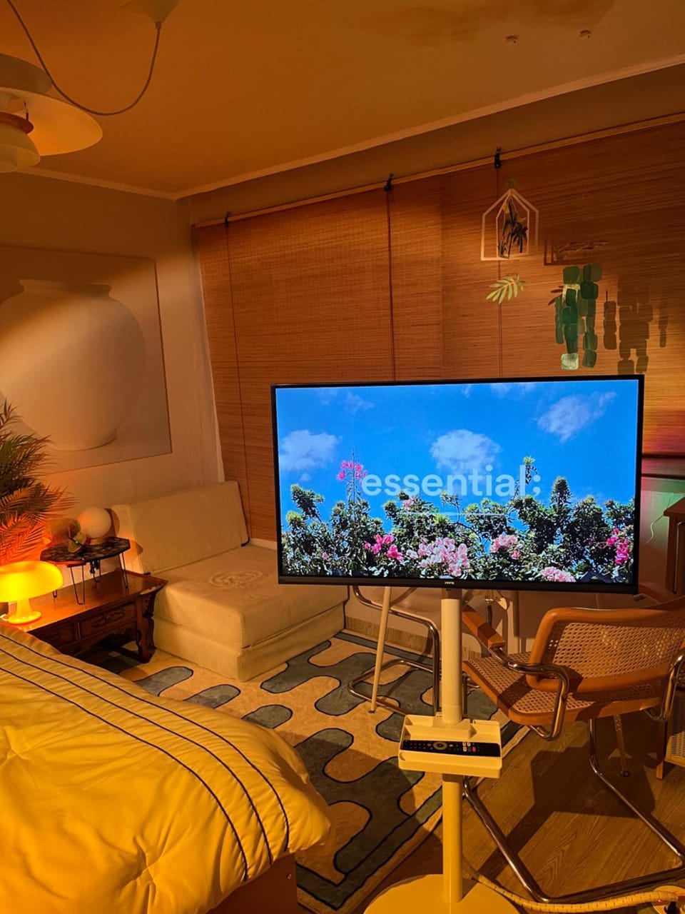 Communal lounge/ TV room, TV and multimedia