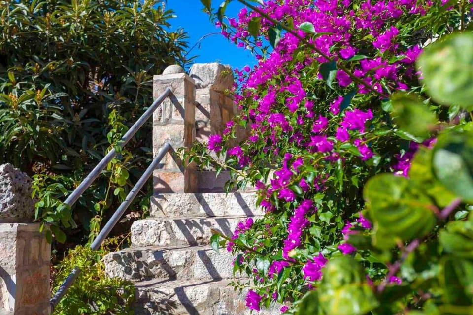 Spring, Day, Garden, Garden view