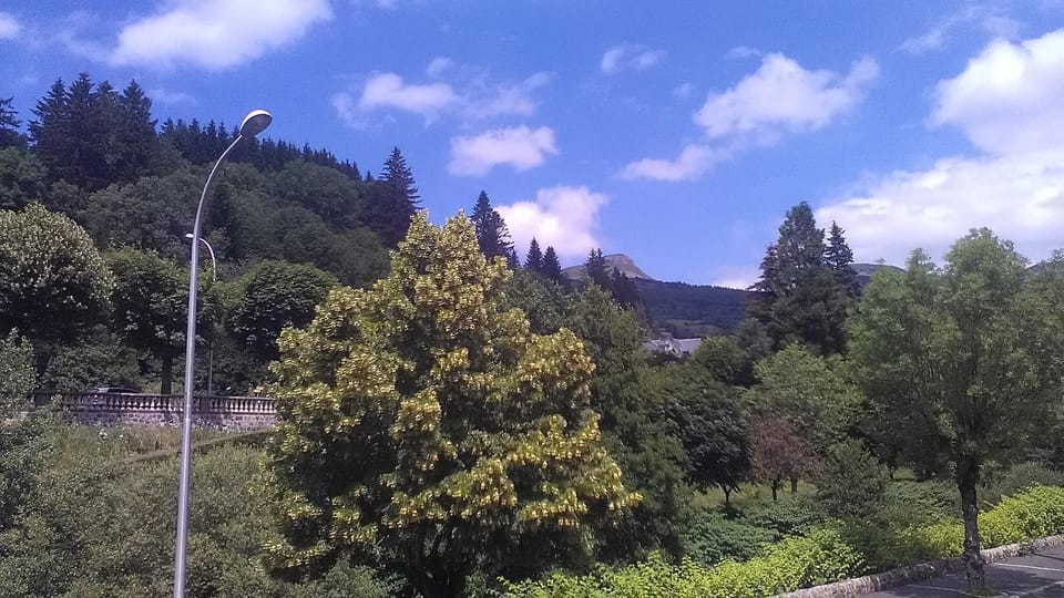 View (from property/room)