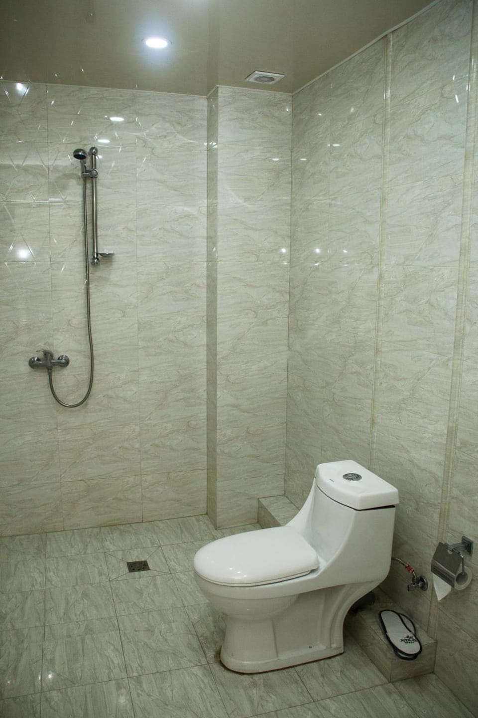 Shower, Toilet