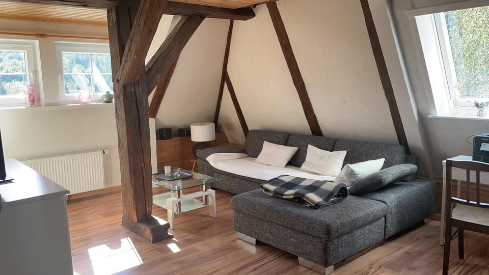 Erholsame Schwarzwaldwohnung Apartment in Schluchsee