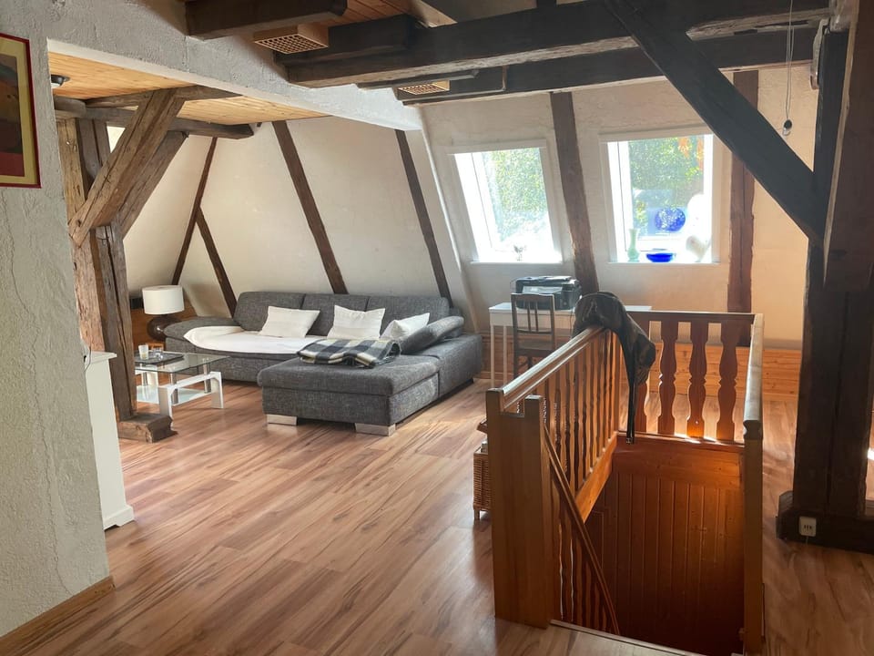 Erholsame Schwarzwaldwohnung Apartment in Schluchsee