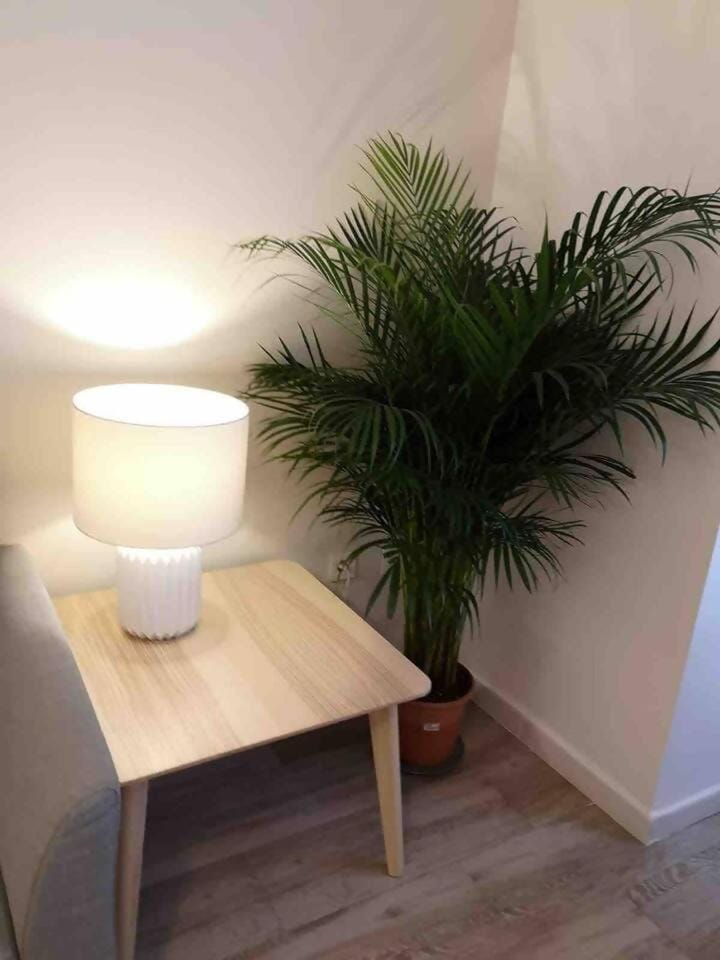 Apartamento Centro III - Murcia Apartment in Murcia