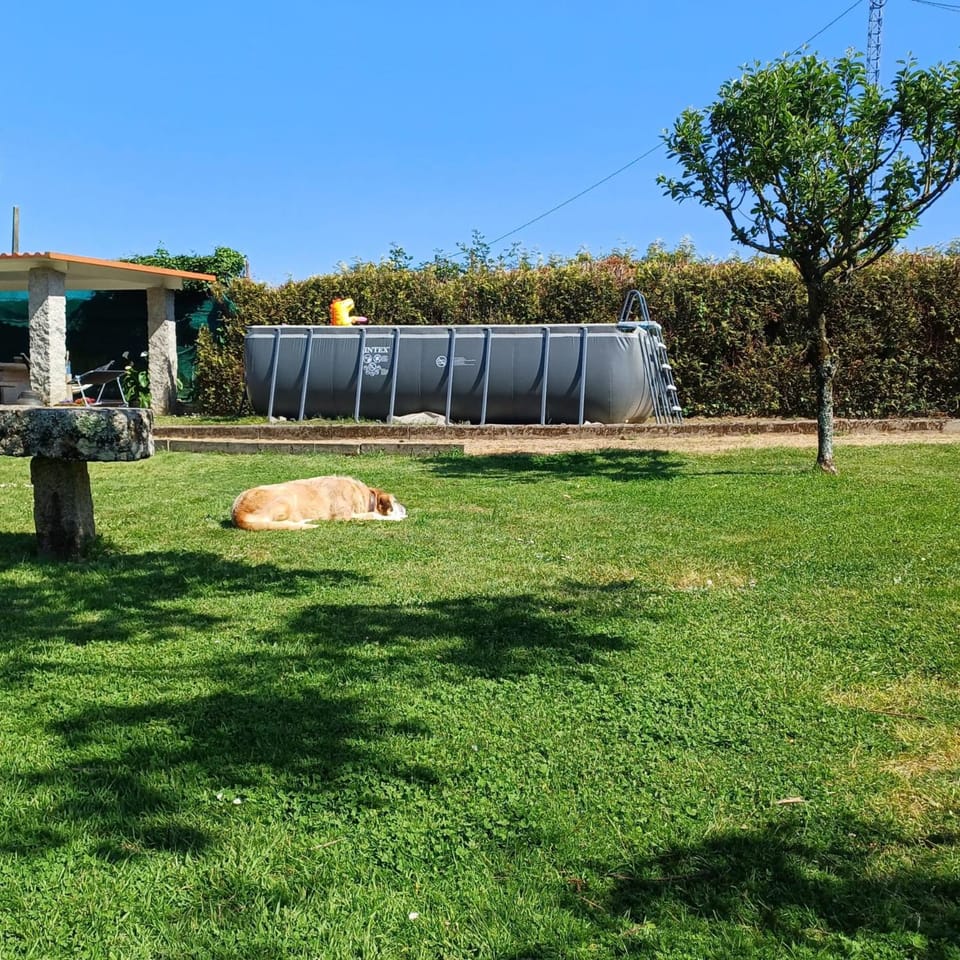 Garden, Swimming pool