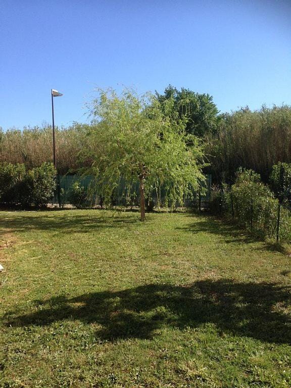 Garden, Garden view