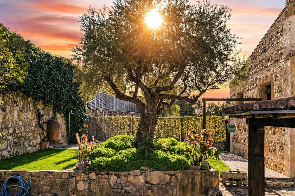Day, Natural landscape, Garden, Garden view, Sunset