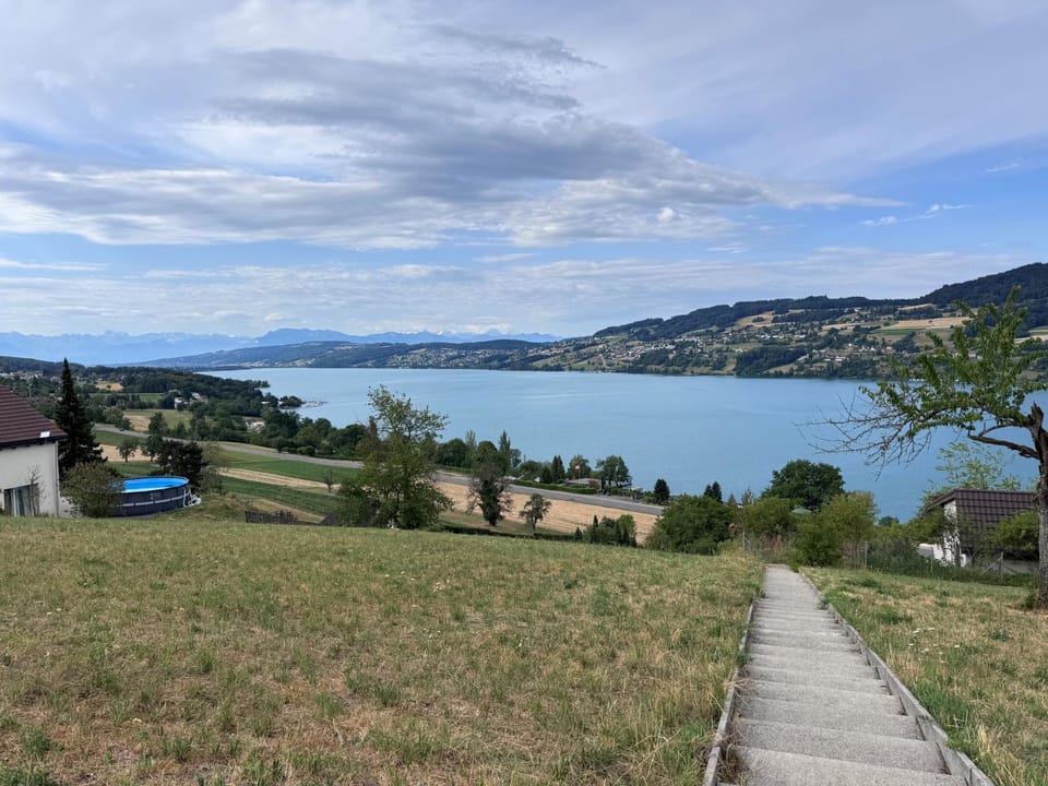 Lake view