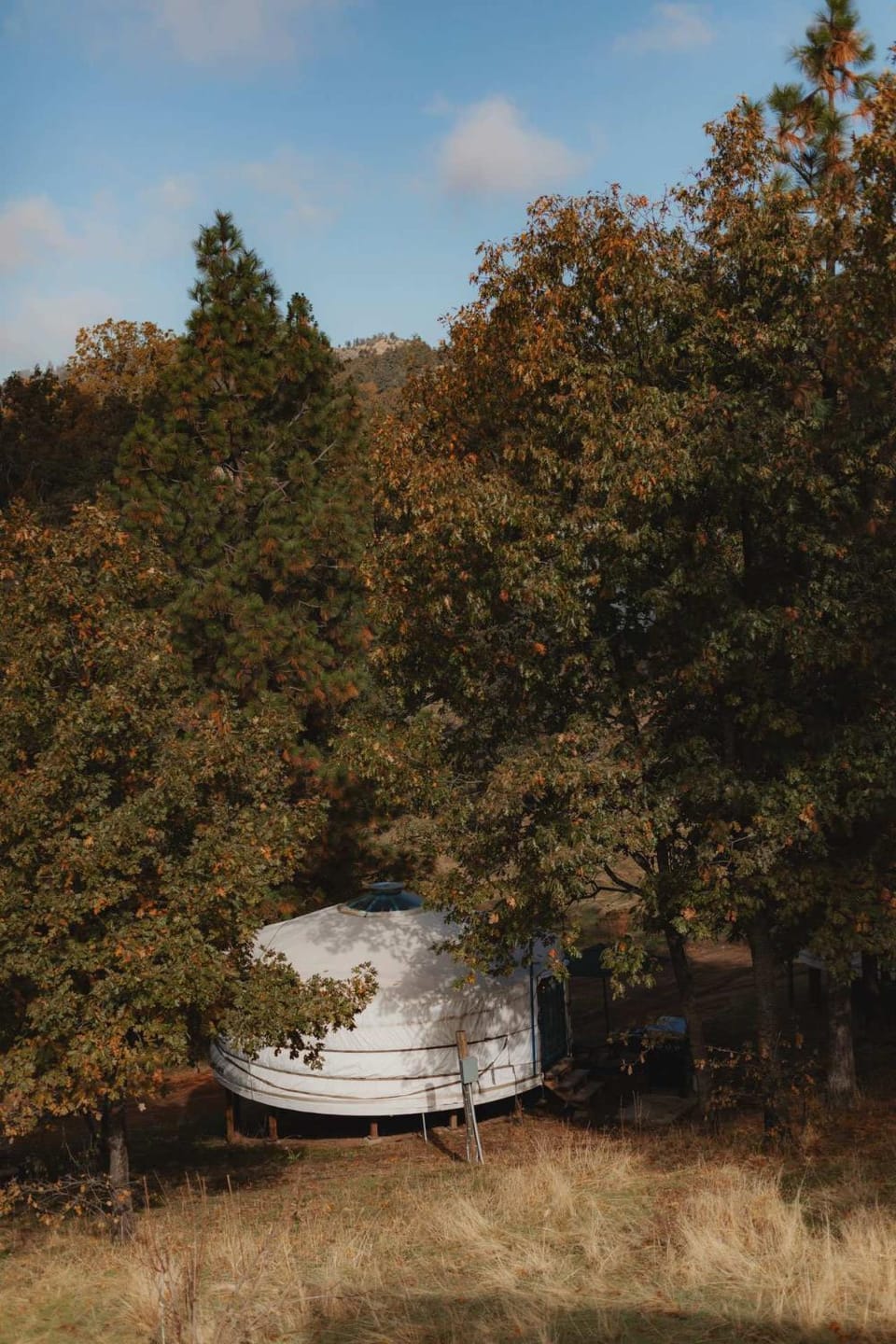 Cosy yurt at a nature retreat in Dunlap CA House in Sierra Nevada