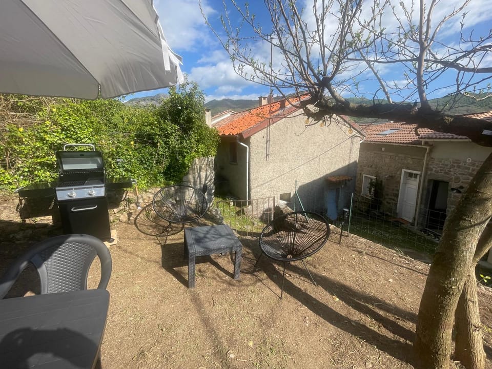 Spring, Day, Garden, Garden view