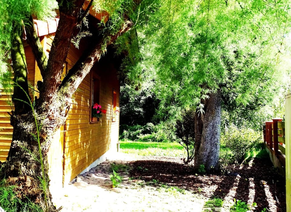 Property building, Spring, Day, Natural landscape, Garden, Garden view