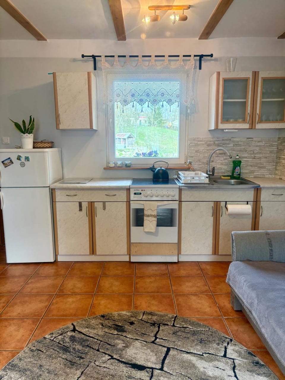 Kitchen or kitchenette, Dining area, oven