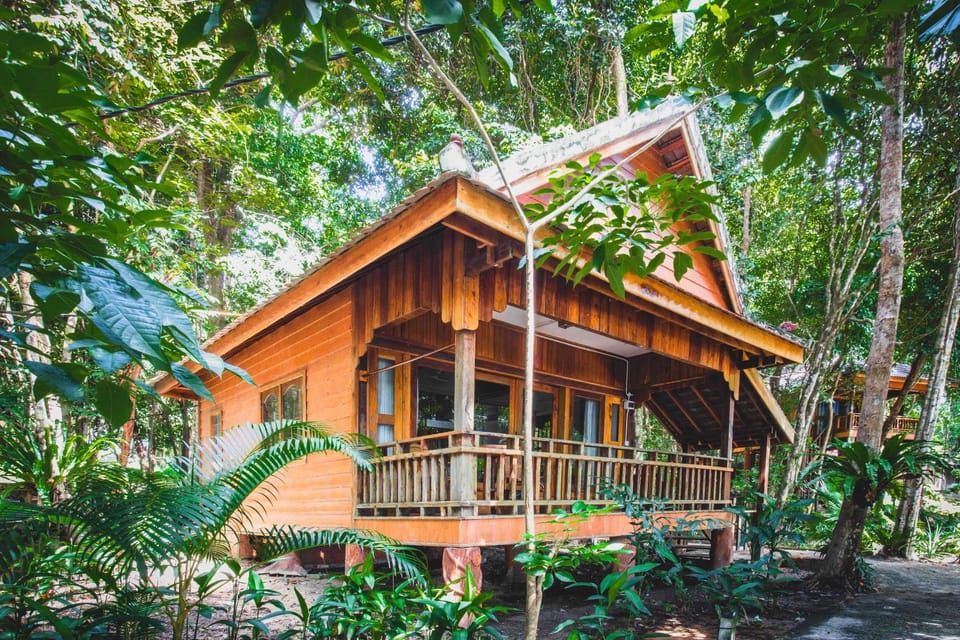 Property building, Garden