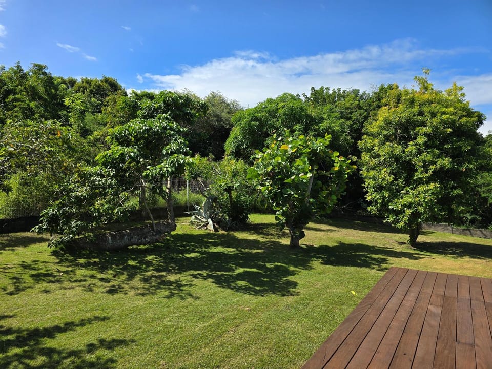Day, Natural landscape, Garden, Garden view
