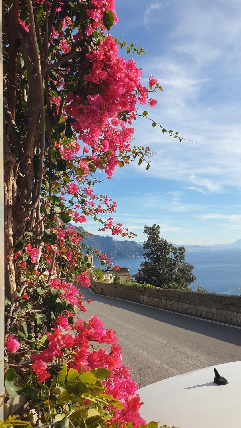 Natural landscape, Sea view