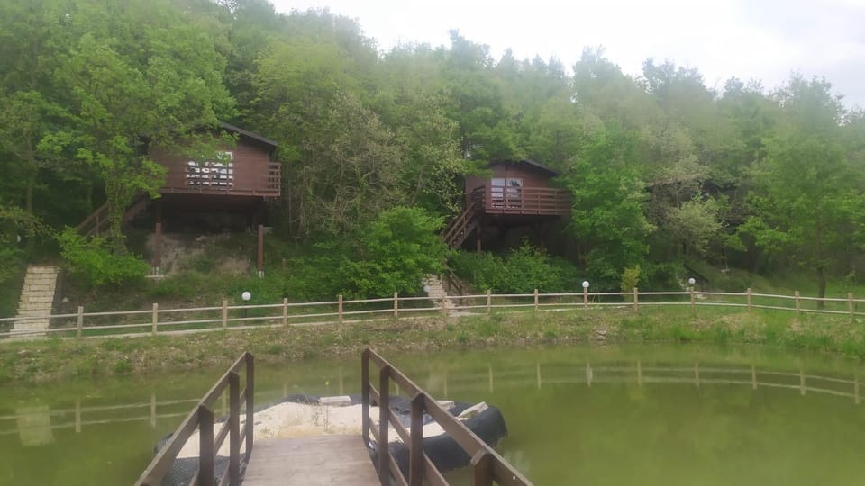 Lake view