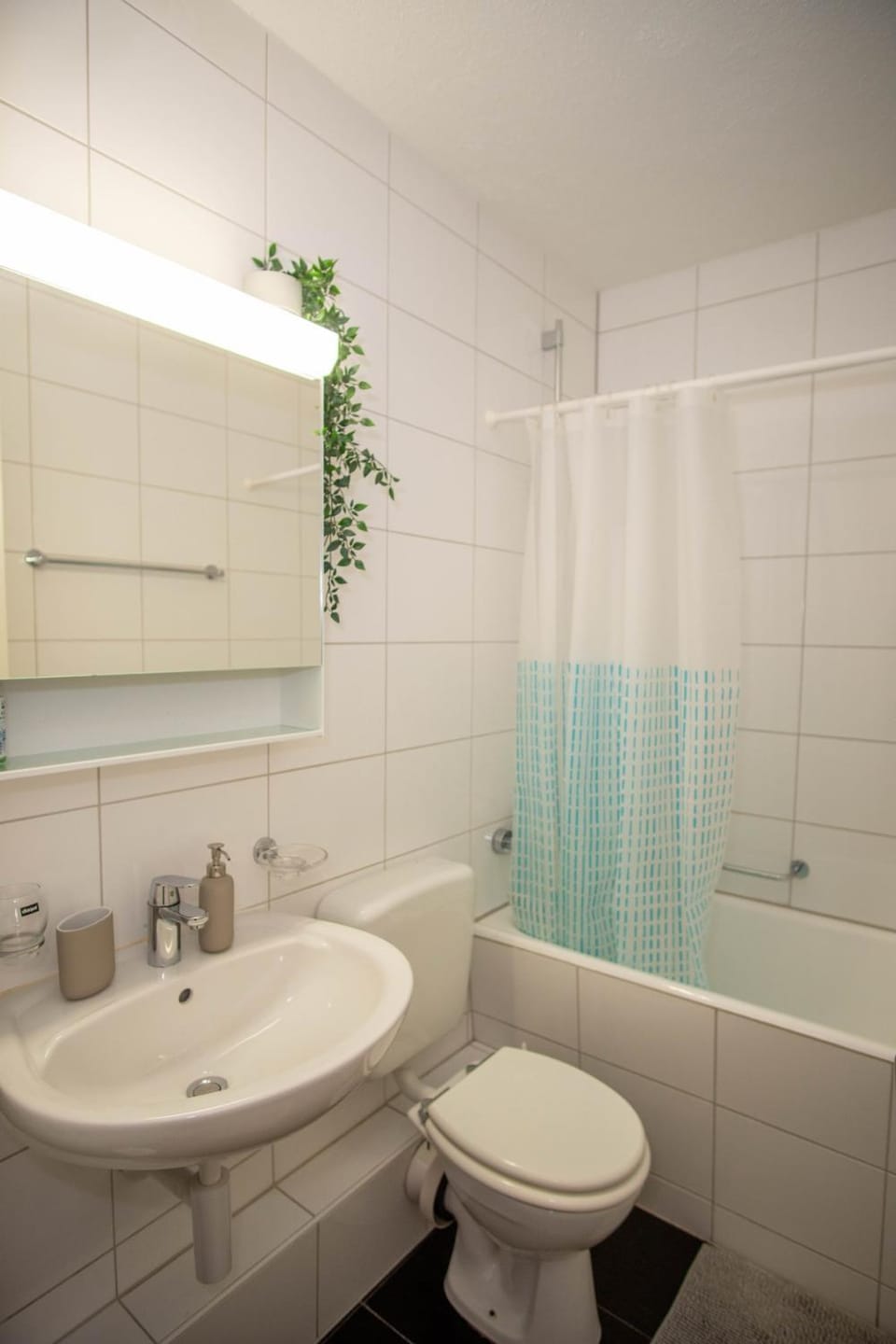 Central Studio Apartment with free BaselCard - Matisse Apartment in Basel