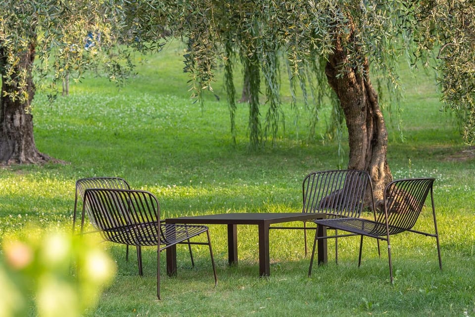 Natural landscape, Garden, Garden view