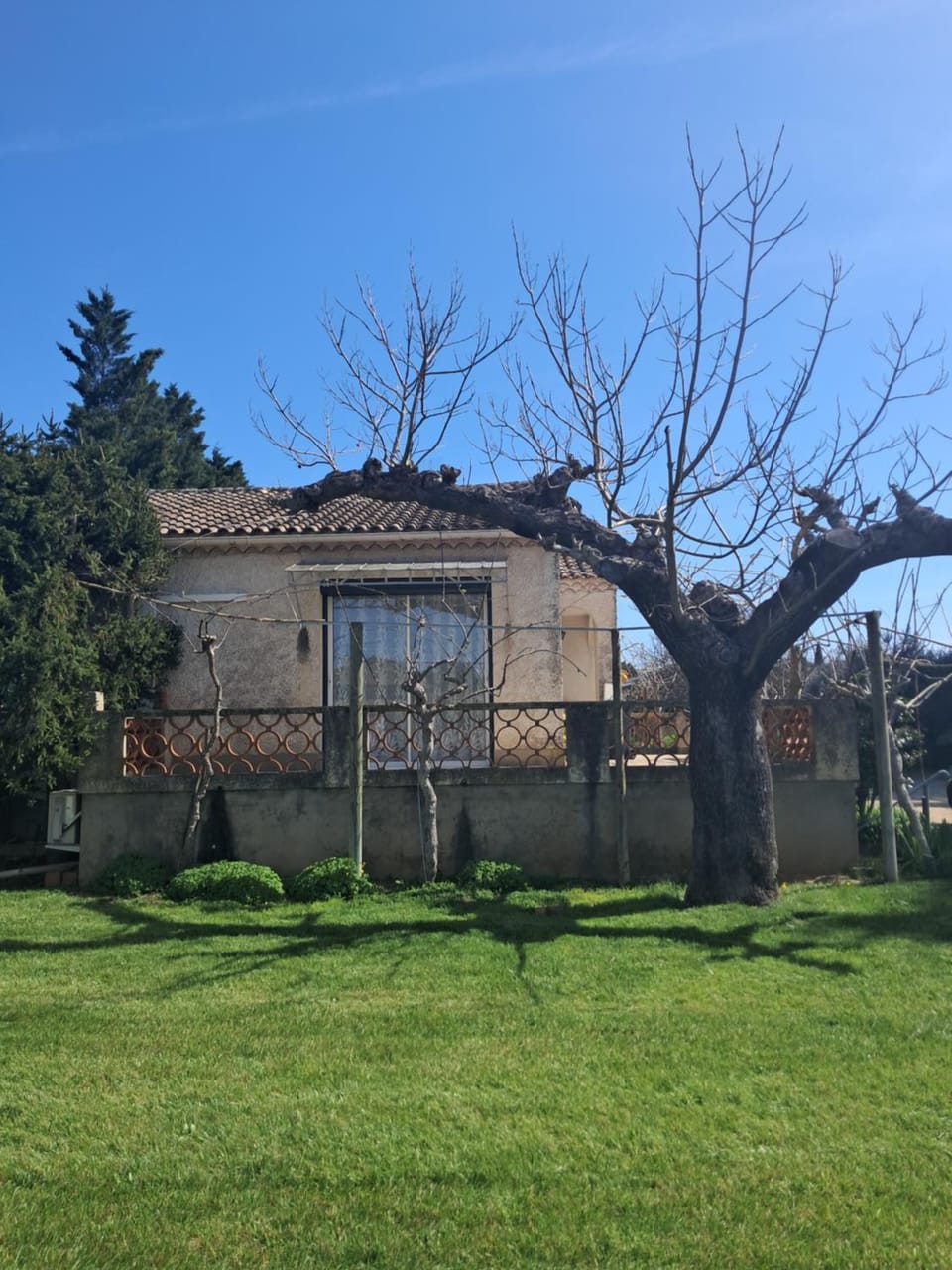 Property building, Spring, Day, Natural landscape, Garden, Garden view