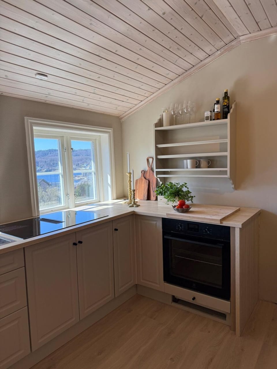 Kitchen or kitchenette, dishwasher, stove