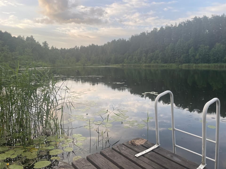 Villa Vähkjärve Villa in Estonia