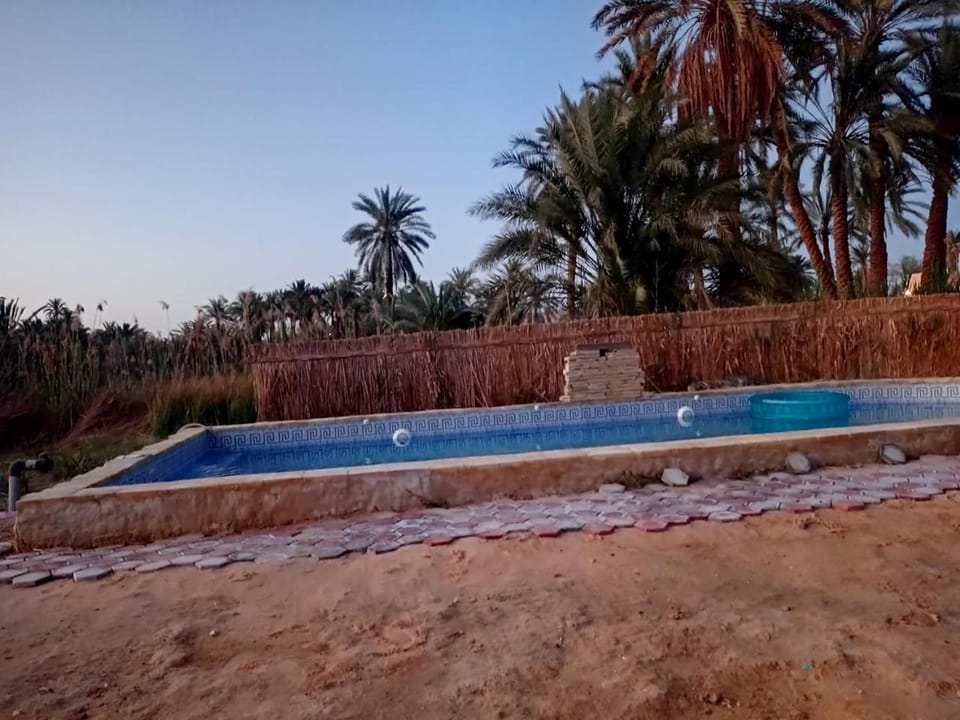 Day, Pool view, Swimming pool