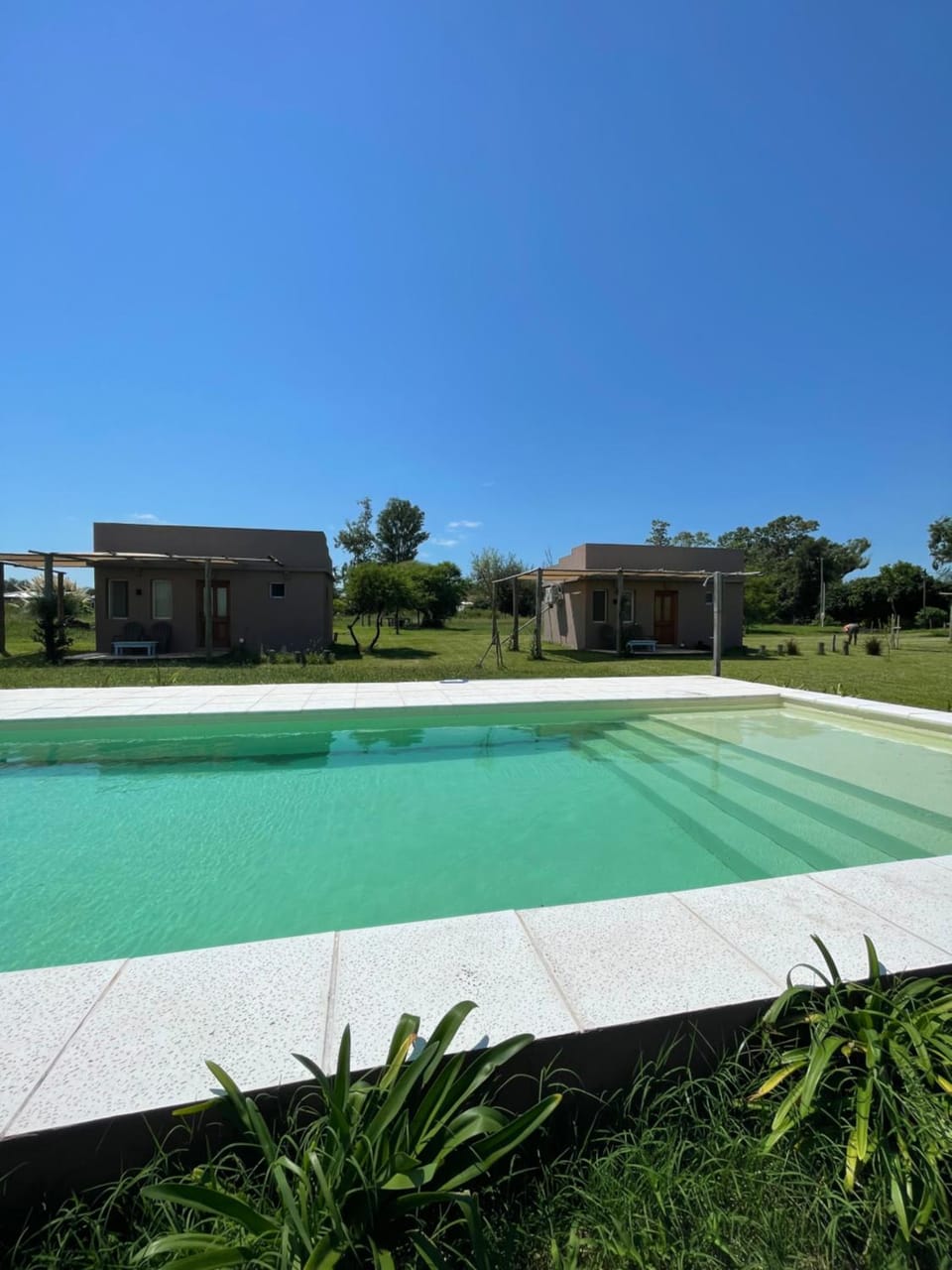Garden, Pool view, Swimming pool