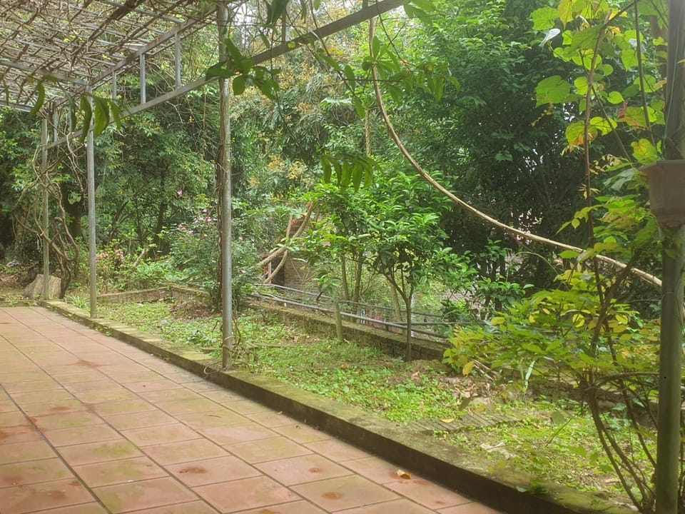 Garden, View (from property/room)