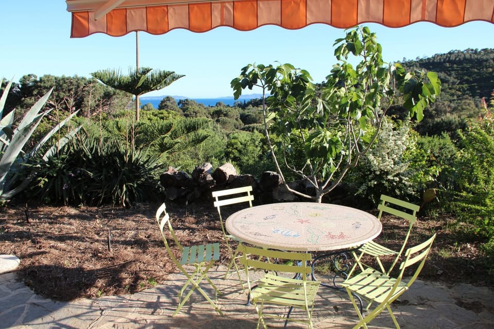 Natural landscape, Garden, Garden view, Sea view