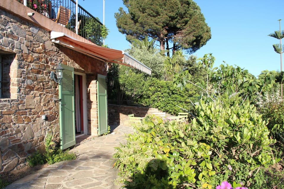 Property building, Garden, Garden view