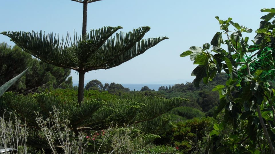Garden, Garden view, Sea view