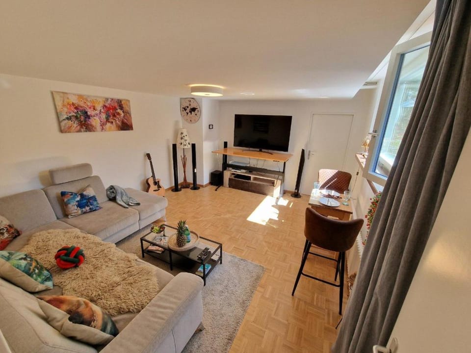 The Artistic Corner by the Rhine Wakable to Major Basel Events like Art Basel ESC and More Apartment in Basel