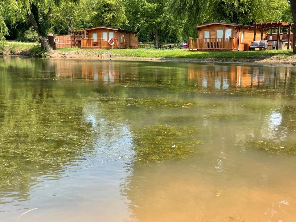 Lake view