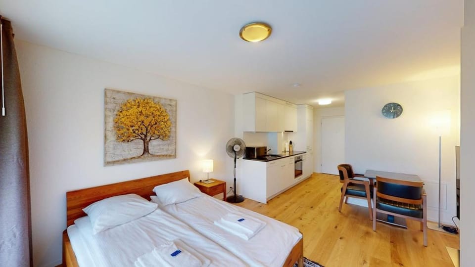 Cute and central studio - Sun 11 Apartment in Zurich City