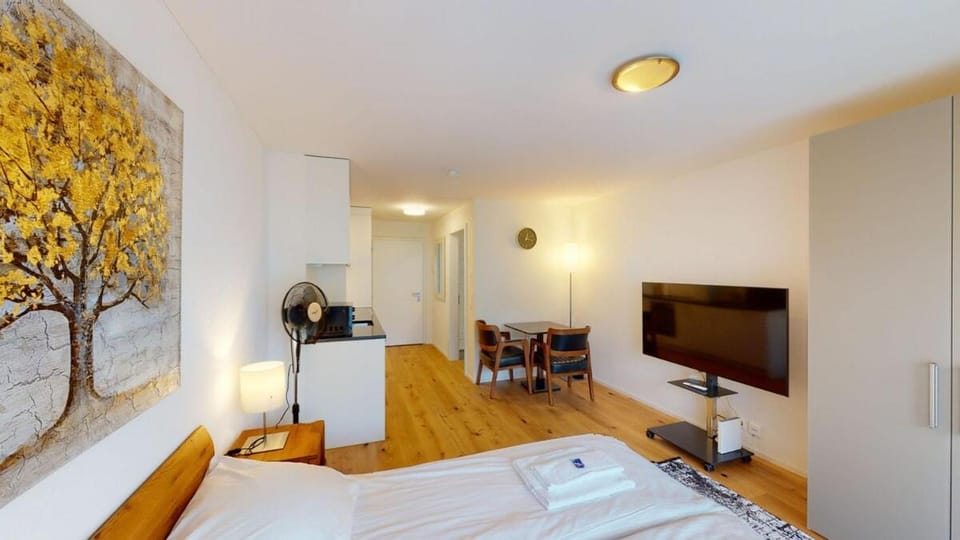 Cute and central studio - Sun 11 Apartment in Zurich City