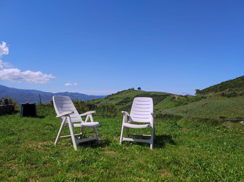 Grand F2 vue montagne Apartment in Corsica
