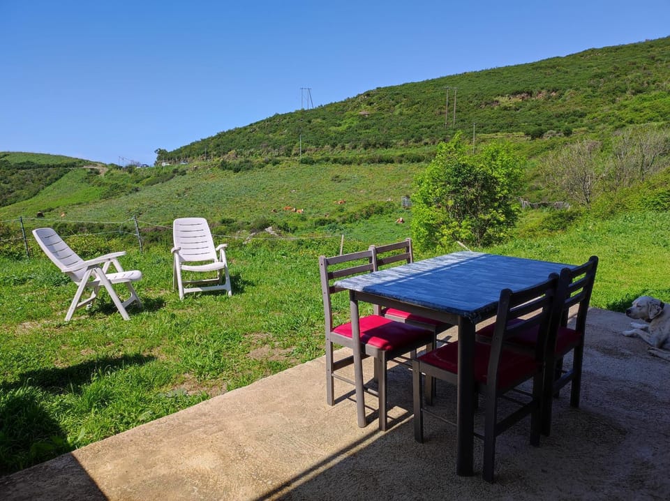 Grand F2 vue montagne Apartment in Corsica