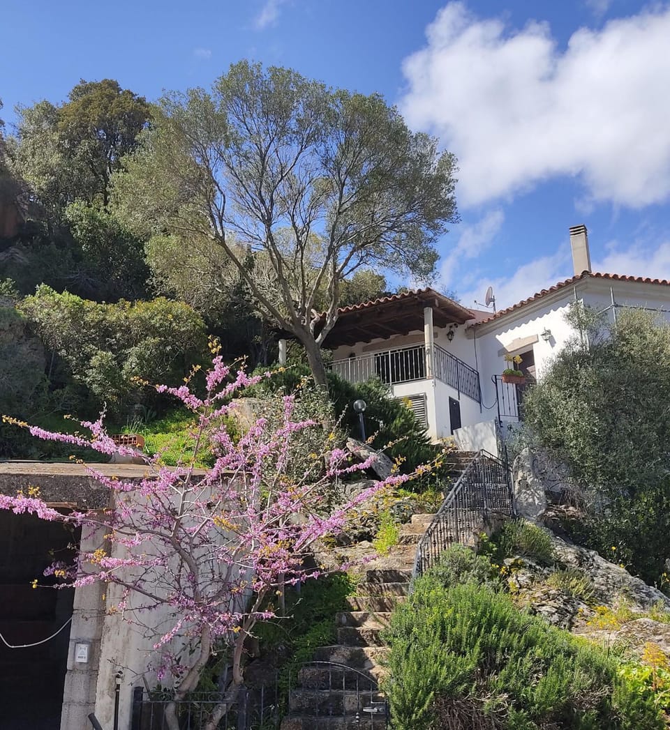 Facade/entrance, Spring, Summer, Autumn