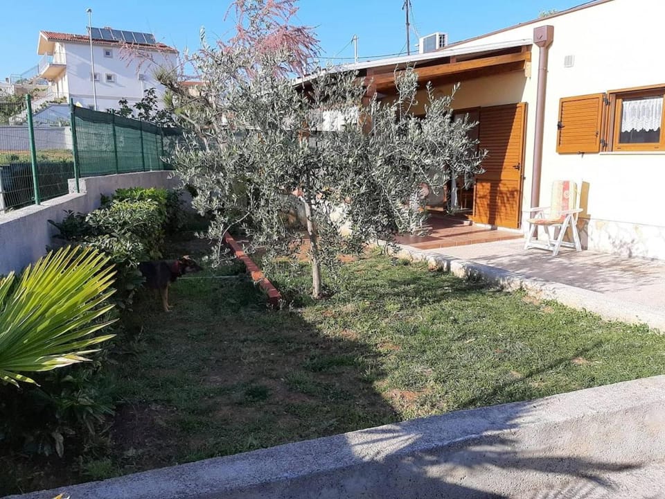 Day, Garden, Garden view