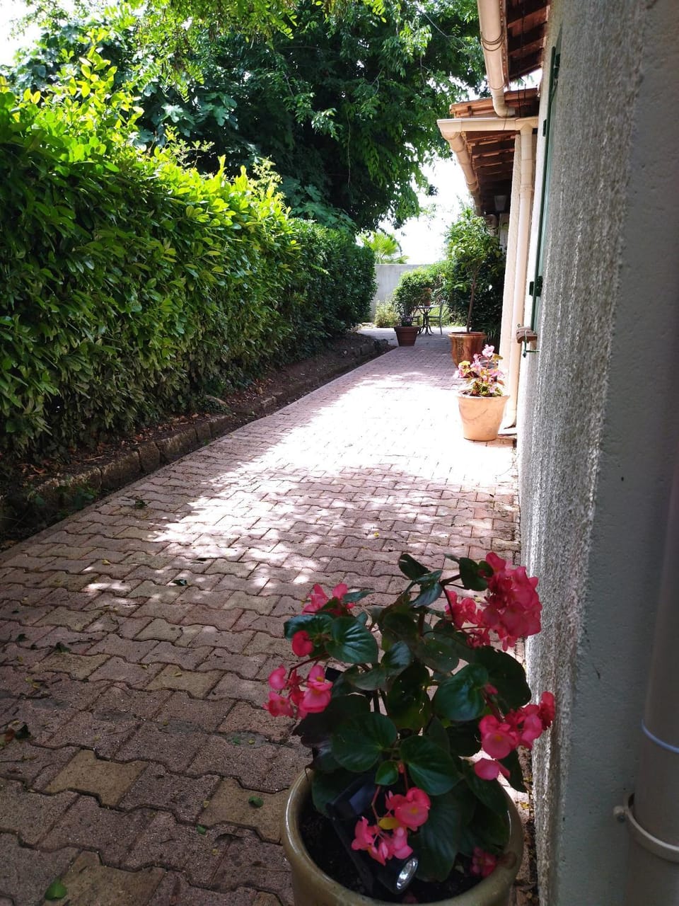 Facade/entrance, Garden
