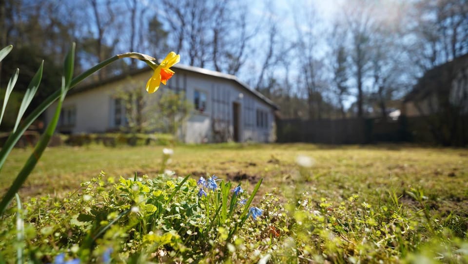 Property building, Garden, Garden view