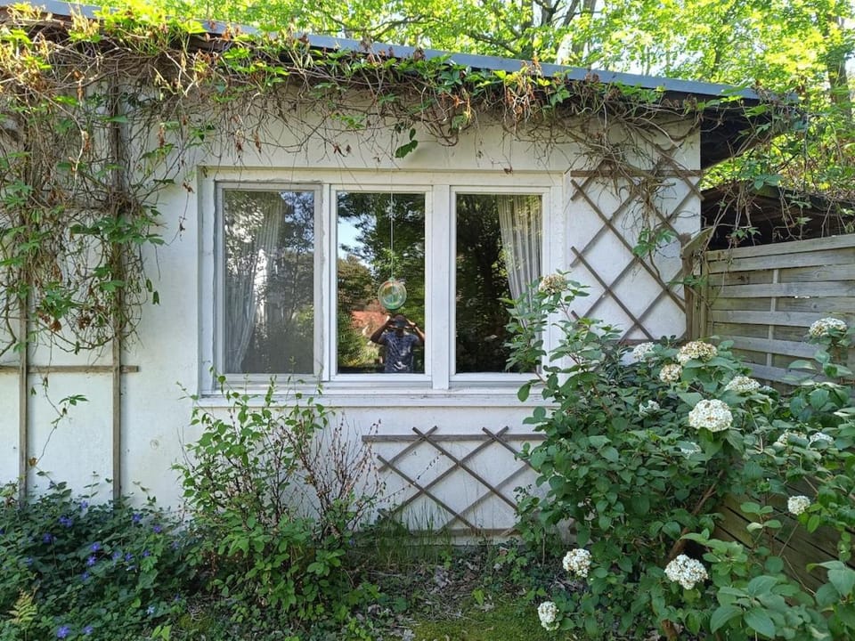 Property building, Garden
