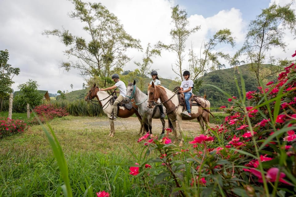 Spring, Day, People, Natural landscape, Horse-riding, Animals, children, group of guests