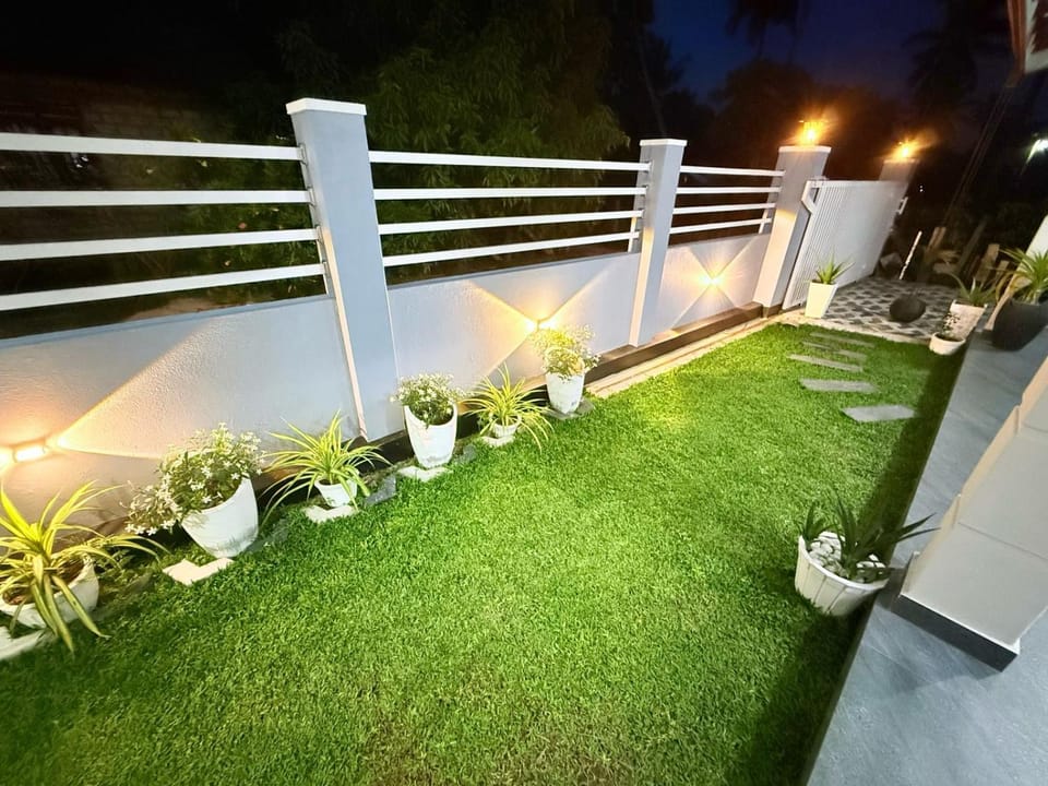 Night, Garden, Garden, Garden view